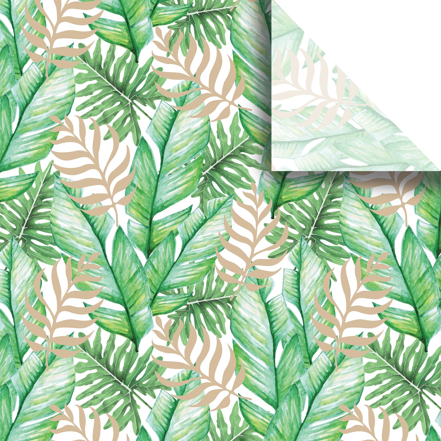 Tropic Thunder Premium Printed Tissue By Jillson Roberts UUSA.