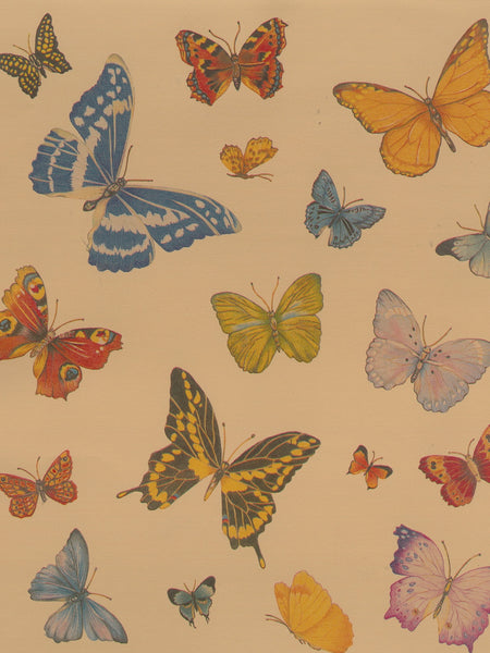 SULLIVAN'S "  BUTTERFLIES " VALUE PACK BUDGET GIFT WRAPPING PAPER