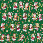 CHILDREN'S SANTA GREEN CHRISTMAS GIFT WRAP BY JILLSON ROBERTS USA XB 753.