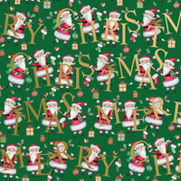 CHILDREN'S SANTA GREEN CHRISTMAS GIFT WRAP BY JILLSON ROBERTS USA XB 753.