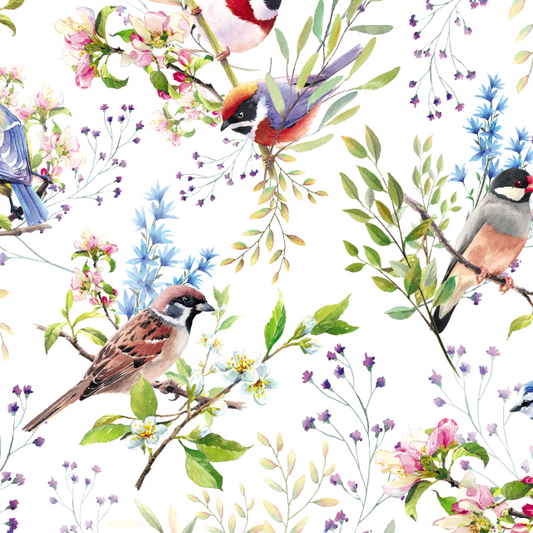 BACKYARD BIRDS FLORAL GIFT WRAPPING PAPER  GW 9538 FREE SHIPPING
