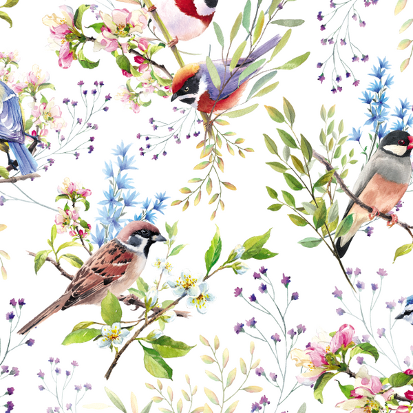 SULLIVAN'S BACKYARD BIRDS FLORAL GIFT WRAPPING PAPER  GW 9538