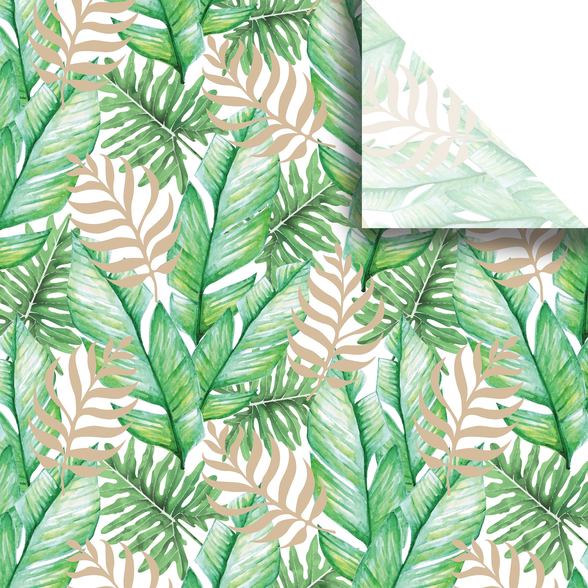 Tropic Thunder Premium Printed Tissue By Jillson Roberts UUSA.