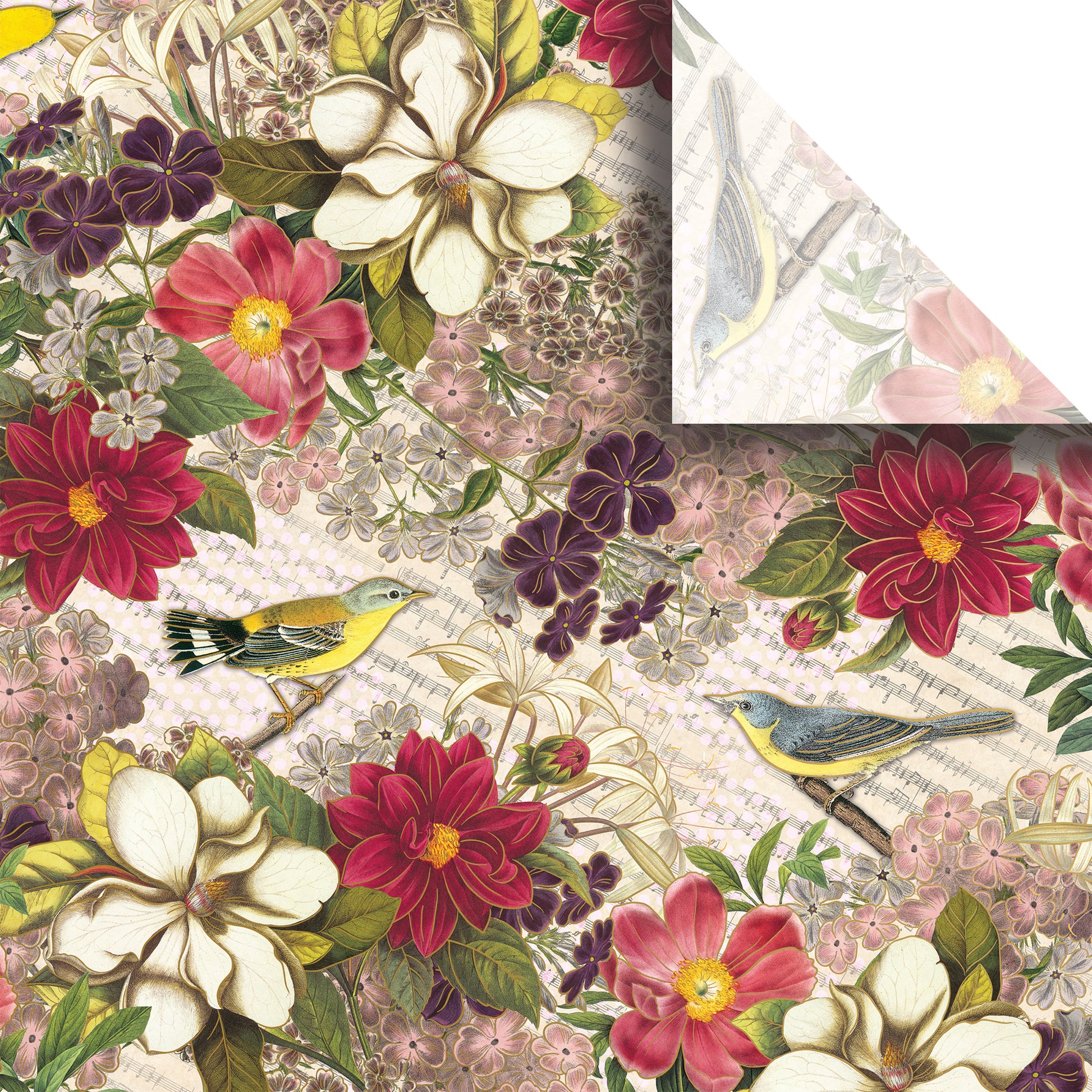 Botanic Premium Printed Tissue By Jillson Roberts.