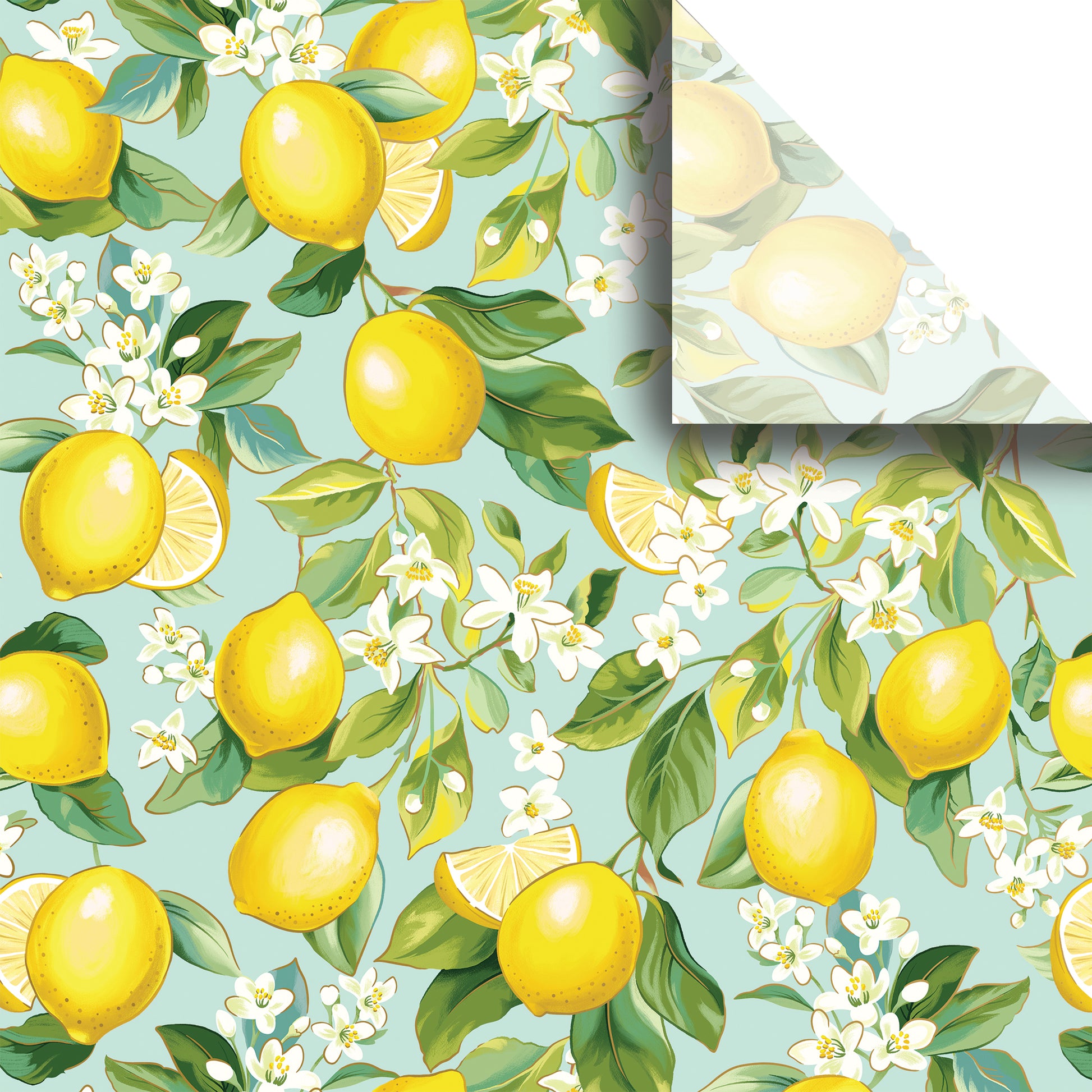 Lemon Tree Premium Printed Tissue By Jillson Roberts USA.