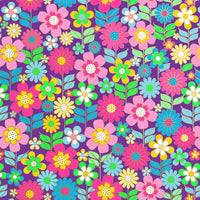 Dazzling Daises Floral Gift Wrap By Jillson Roberts