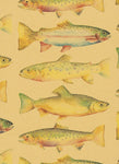 FISHING GIFT WRAPPING PAPER ROLLS MADE IN USA BY SULLIVAN PAPERS  GW-2433 - W H Koch Packaging